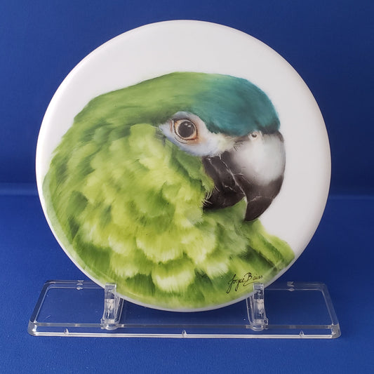 Wood Frame Green Parrot Trivet