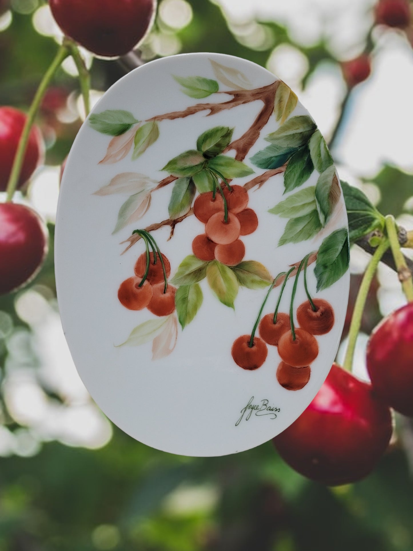 Plate with Cherries -  7 in, Oval